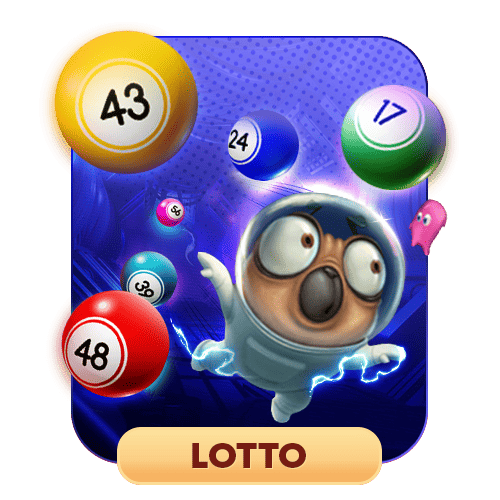 3-lotto-500x500-1